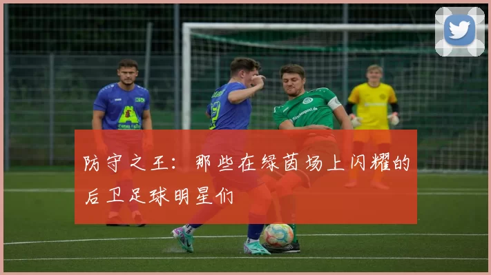 防守之王：那些在绿茵场上闪耀的后卫足球明星们