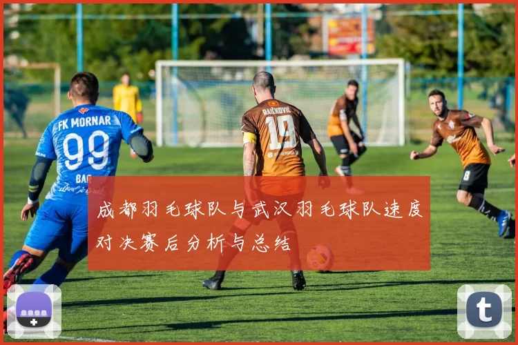 成都羽毛球队与武汉羽毛球队速度对决赛后分析与总结