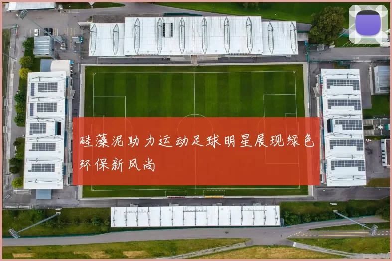 硅藻泥助力运动足球明星展现绿色环保新风尚