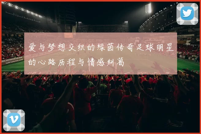 爱与梦想交织的绿茵传奇足球明星的心路历程与情感纠葛