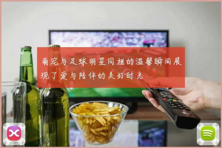 萌宠与足球明星同框的温馨瞬间展现了爱与陪伴的美好时光