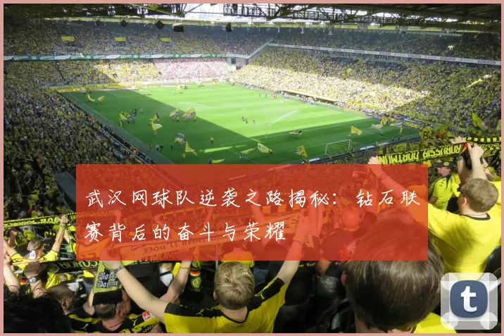 武汉网球队逆袭之路揭秘：钻石联赛背后的奋斗与荣耀