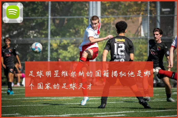 足球明星维尔纳的国籍揭秘他是哪个国家的足球天才