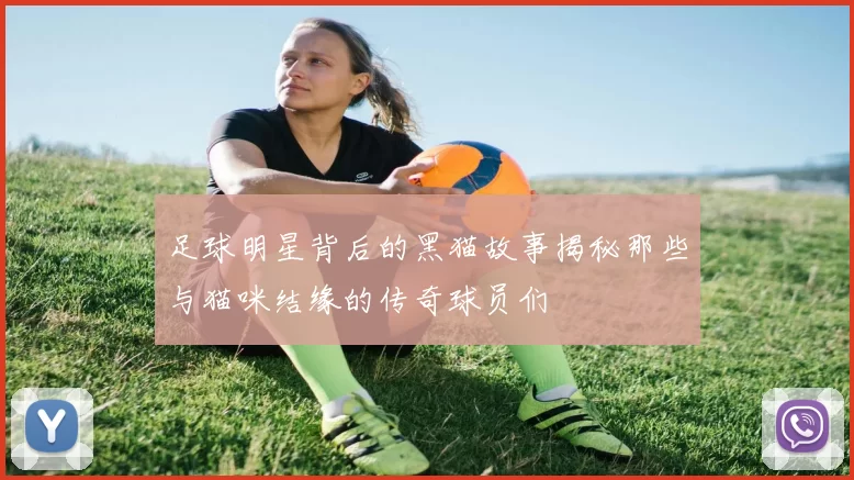 足球明星背后的黑猫故事揭秘那些与猫咪结缘的传奇球员们