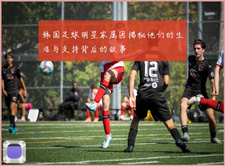 韩国足球明星家属团揭秘他们的生活与支持背后的故事