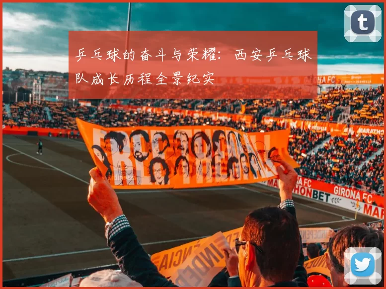乒乓球的奋斗与荣耀：西安乒乓球队成长历程全景纪实