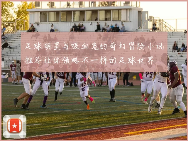 足球明星与吸血鬼的奇幻冒险小说推荐让你领略不一样的足球世界