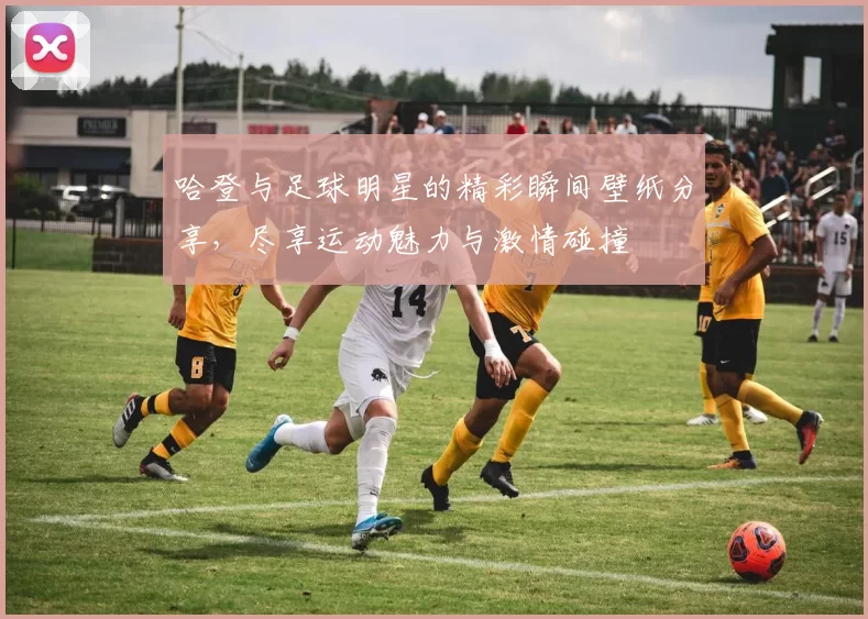 哈登与足球明星的精彩瞬间壁纸分享，尽享运动魅力与激情碰撞