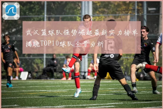 武汉篮球队强势崛起最新实力榜单揭晓TOP10球队全景分析