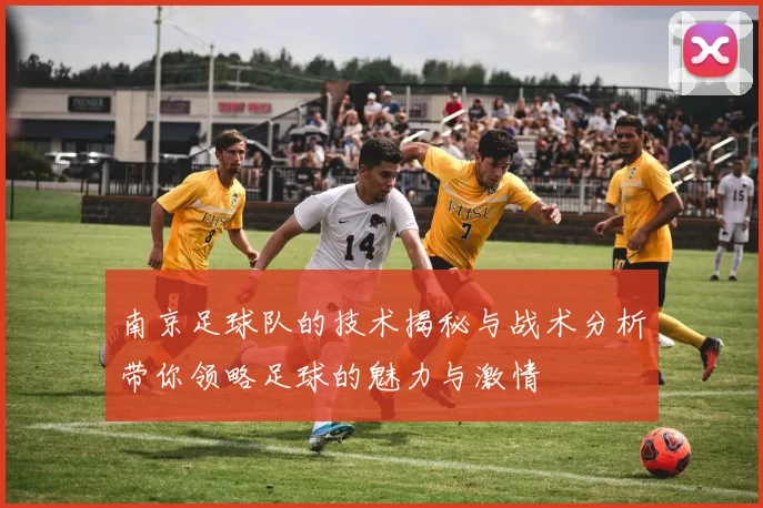 南京足球队的技术揭秘与战术分析带你领略足球的魅力与激情
