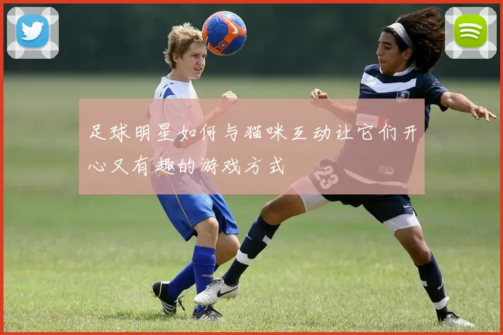 足球明星如何与猫咪互动让它们开心又有趣的游戏方式