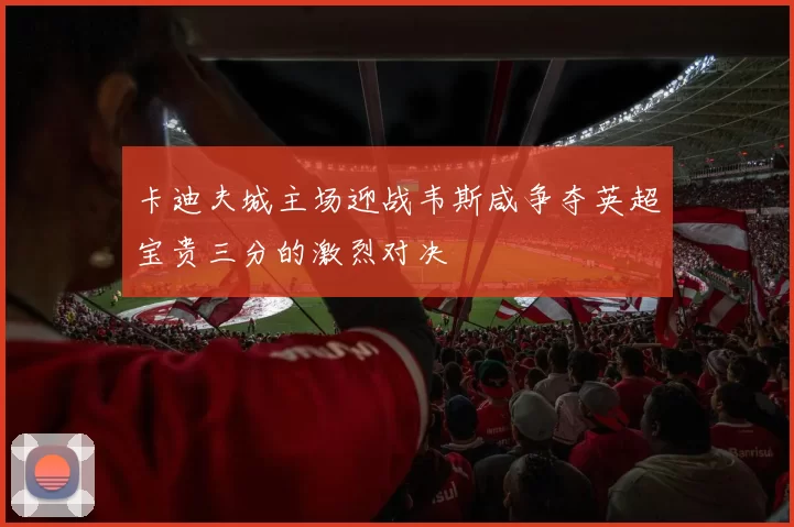 卡迪夫城主场迎战韦斯咸争夺英超宝贵三分的激烈对决