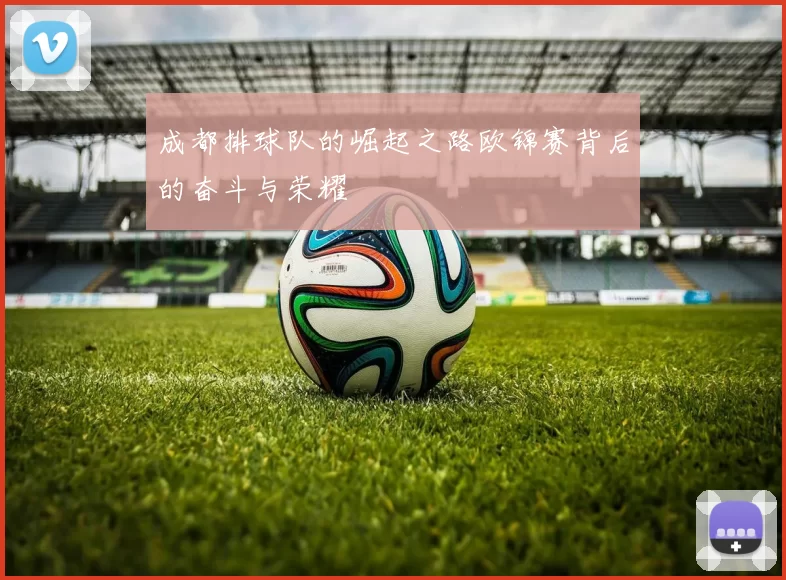 成都排球队的崛起之路欧锦赛背后的奋斗与荣耀