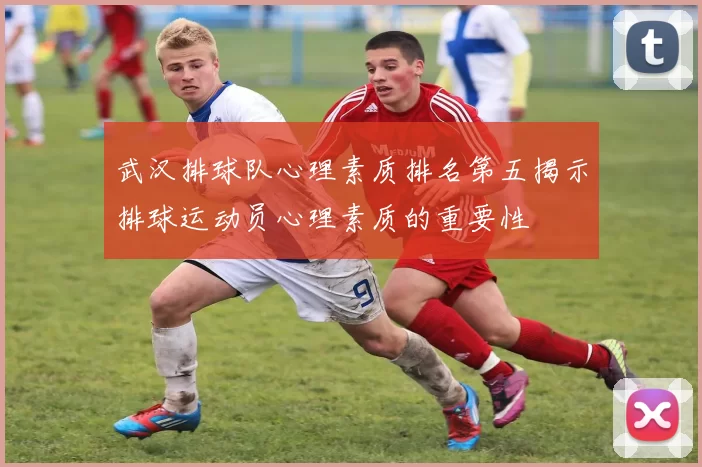 武汉排球队心理素质排名第五揭示排球运动员心理素质的重要性